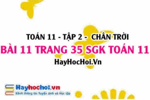 Bài 11 trang 35 Toán 11 tập 2 Chân trời sáng tạo